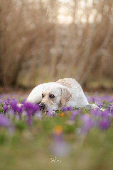 Frühling